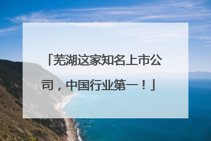 芜湖这家知名上市公司，中国行业第一！