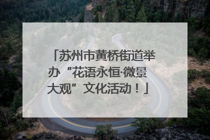 苏州市黄桥街道举办“花语永恒·微景大观”文化活动！