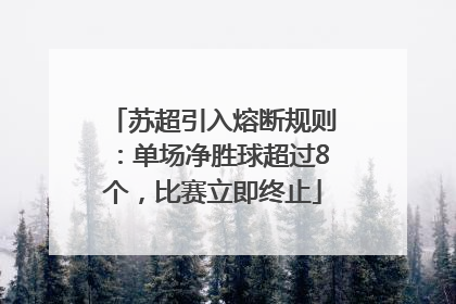 苏超引入熔断规则：单场净胜球超过8个，比赛立即终止