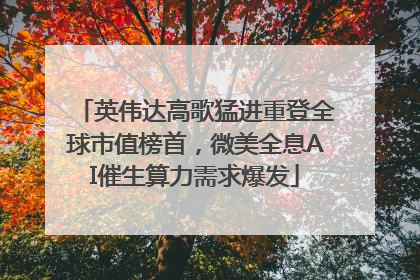 英伟达高歌猛进重登全球市值榜首，微美全息AI催生算力需求爆发