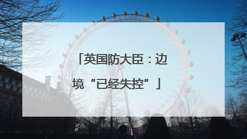 英国防大臣：边境“已经失控”