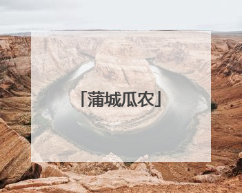 蒲城瓜农