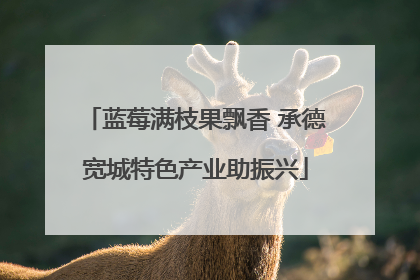 蓝莓满枝果飘香 承德宽城特色产业助振兴