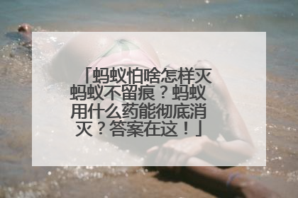 蚂蚁怕啥怎样灭蚂蚁不留痕？蚂蚁用什么药能彻底消灭？答案在这！