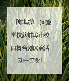 蚌埠第三实验学校获蚌埠市校园舞台剧展演活动一等奖