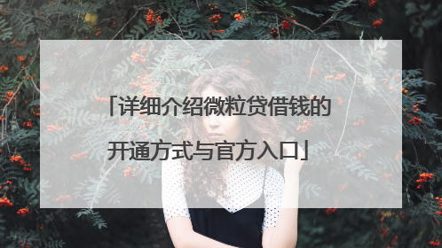 详细介绍微粒贷借钱的开通方式与官方入口