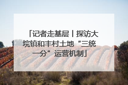 记者走基层丨探访大垸镇和丰村土地“三统一分”运营机制