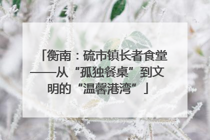 衡南：硫市镇长者食堂——从“孤独餐桌”到文明的“温馨港湾”