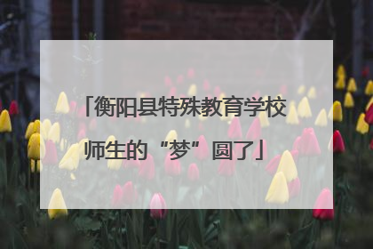 衡阳县特殊教育学校师生的“梦”圆了