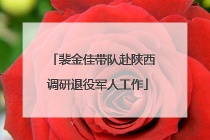 裴金佳带队赴陕西调研退役军人工作