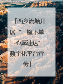 西乡流塘开展“一键下单·心愿速达”数字化平台宣传