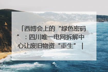 西博会上的“绿色密码”：四川唯一电网拆解中心让废旧物资“重生”｜西博寻“新”记