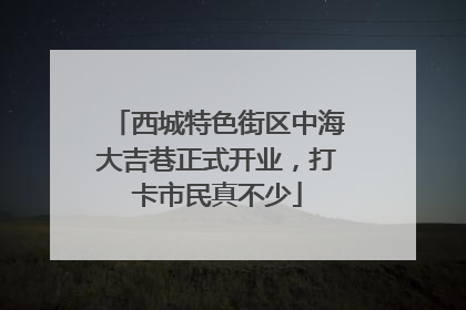 西城特色街区中海大吉巷正式开业，打卡市民真不少