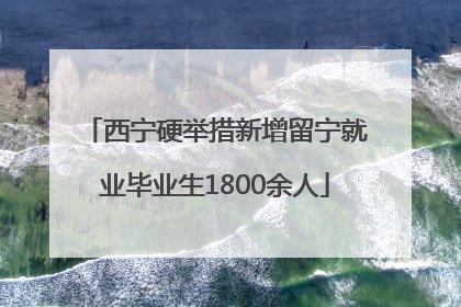 西宁硬举措新增留宁就业毕业生1800余人