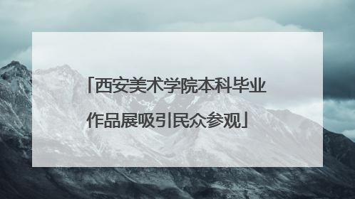 西安美术学院本科毕业作品展吸引民众参观