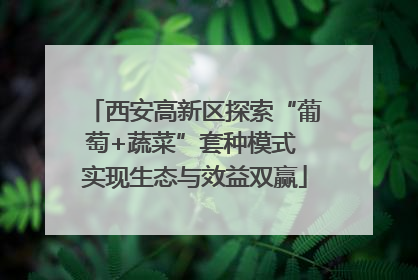 西安高新区探索“葡萄+蔬菜”套种模式 实现生态与效益双赢