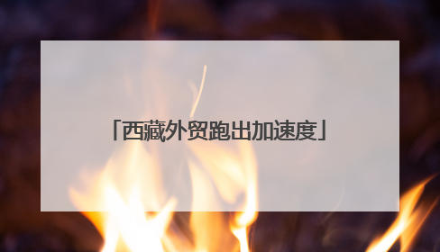 西藏外贸跑出加速度