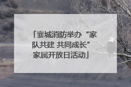 襄城消防举办“家队共建 共同成长”家属开放日活动