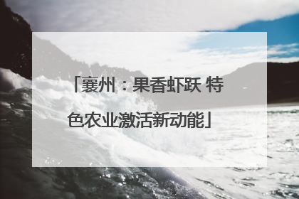 襄州：果香虾跃 特色农业激活新动能