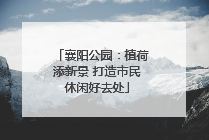 襄阳公园：植荷添新景 打造市民休闲好去处