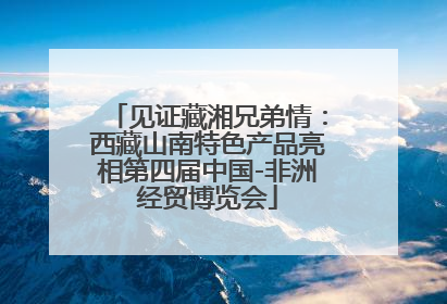 见证藏湘兄弟情：西藏山南特色产品亮相第四届中国-非洲经贸博览会