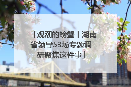 观潮的螃蟹丨湖南省领导53场专题调研聚焦这件事