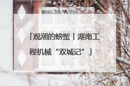 观潮的螃蟹丨湖南工程机械“双城记”