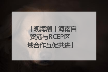 观海潮｜海南自贸港与RCEP区域合作互促共进