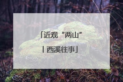 近观“两山”丨西溪往事