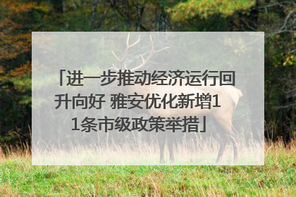 进一步推动经济运行回升向好 雅安优化新增11条市级政策举措