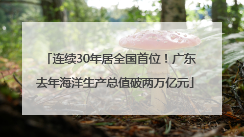 连续30年居全国首位！广东去年海洋生产总值破两万亿元