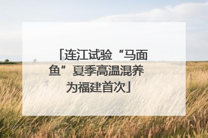 连江试验“马面鱼”夏季高温混养 为福建首次