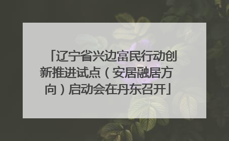 辽宁省兴边富民行动创新推进试点（安居融居方向）启动会在丹东召开
