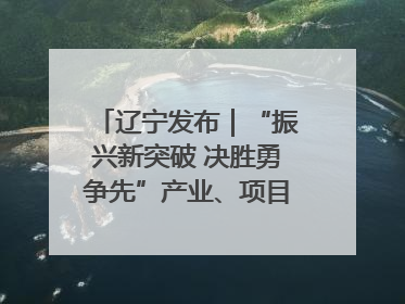 辽宁发布｜“振兴新突破 决胜勇争先”产业、项目、民生齐发力 葫芦岛按下决胜之年“加速键”