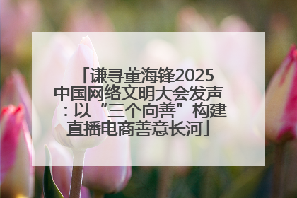 谦寻董海锋2025中国网络文明大会发声：以“三个向善”构建直播电商善意长河