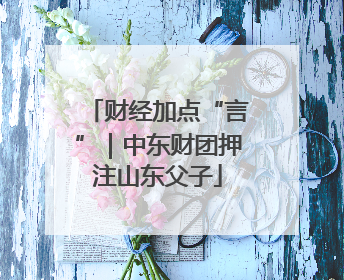 财经加点“言”｜中东财团押注山东父子