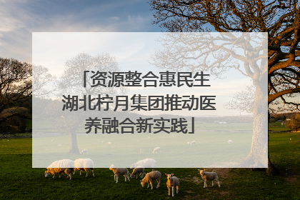 资源整合惠民生 湖北柠月集团推动医养融合新实践