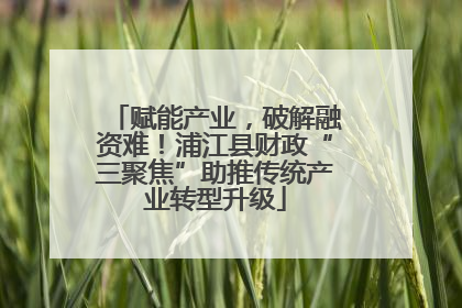 赋能产业，破解融资难！浦江县财政“三聚焦”助推传统产业转型升级