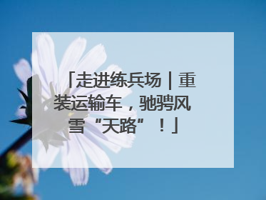 走进练兵场｜重装运输车，驰骋风雪“天路”！