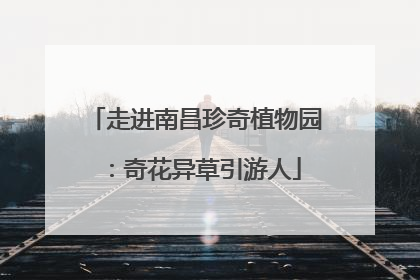 走进南昌珍奇植物园：奇花异草引游人