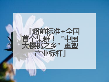超前标准+全国首个集群！“中国大樱桃之乡”重塑产业标杆
