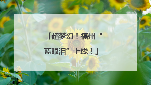 超梦幻！福州“蓝眼泪”上线！