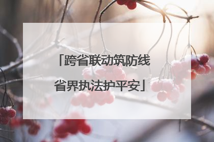 跨省联动筑防线 省界执法护平安