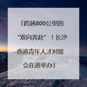 跨越800公里的“双向奔赴”！长沙-香港青年人才对接会在港举办