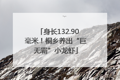 身长132.90毫米！桐乡养出“巨无霸”小龙虾