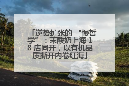 逆势扩张的 “慢哲学”：茉酸奶上海 18 店同开，以有机品质撕开内卷红海