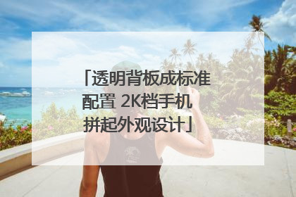 透明背板成标准配置 2K档手机拼起外观设计
