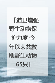 道县增强野生动物保护力度 今年以来共救助野生动物65只
