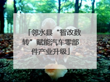 邻水县“智改数转”赋能汽车零部件产业升级