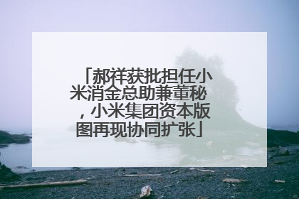 郝祥获批担任小米消金总助兼董秘，小米集团资本版图再现协同扩张
